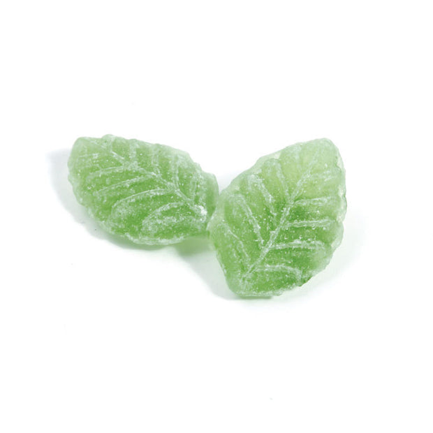 Feuille Verveine